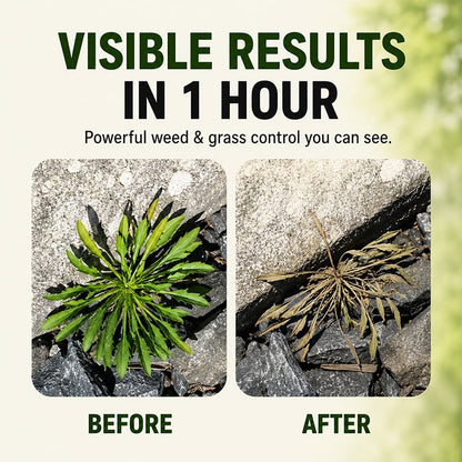 🔥2026 SALE - Fast-Acting Natural Weed & Grass Killer Spray - product image 7