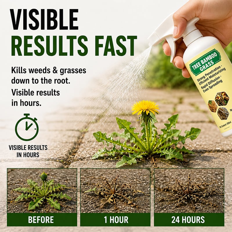 🔥2026 SALE - Fast-Acting Natural Weed & Grass Killer Spray - product image 2