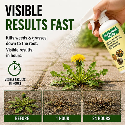 🔥2026 SALE - Fast-Acting Natural Weed & Grass Killer Spray - product image 2