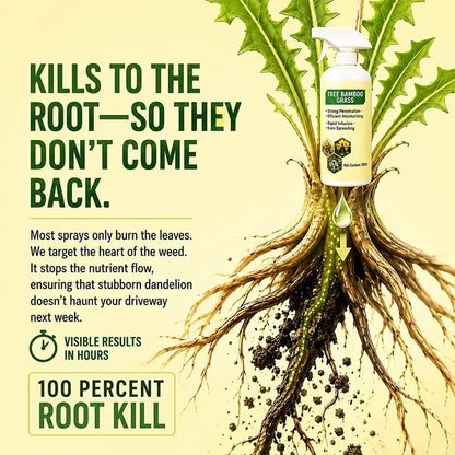 🔥2026 SALE - Fast-Acting Natural Weed & Grass Killer Spray - product image 4